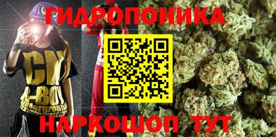 круглые Будённовск