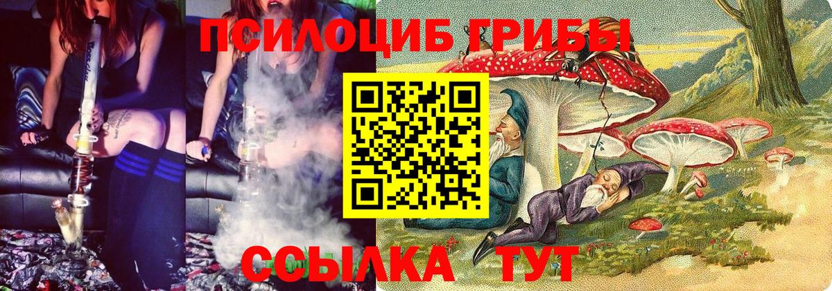 Котельники  Псилоцибиновые грибы прущие грибы  Вход с VPN 