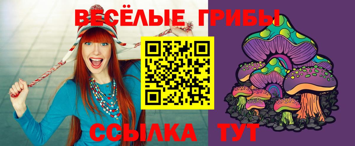 Галлюциногенные грибы MAGIC MUSHROOMS Котельники